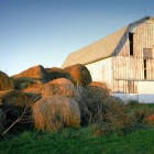Barn With Hay