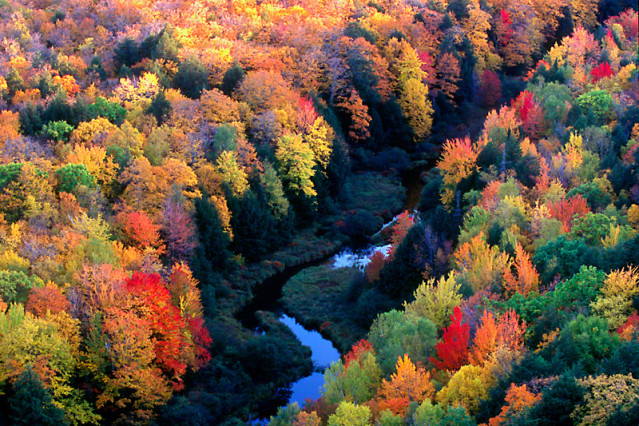 Colors of Autumn