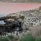 La Jolla Cove