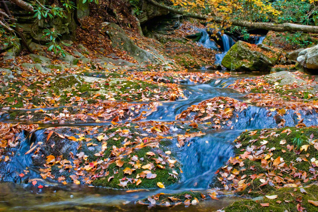 Smokey Mountains Stream