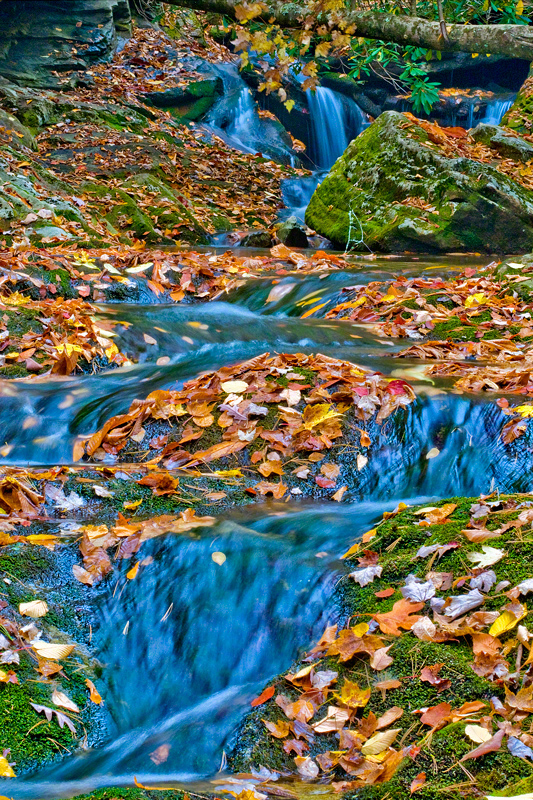 Smokey Mountain Stream (V)